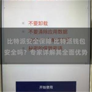 比特派安全保障 比特派钱包安全吗？专家详解其全面优势