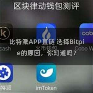 比特派APP直链 选择Bitpie的原因，你知道吗？