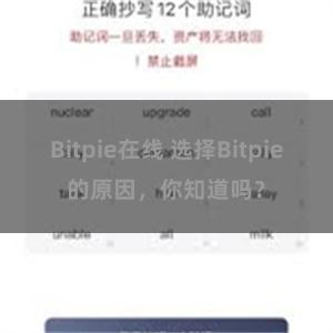 Bitpie在线 选择Bitpie的原因，你知道吗？