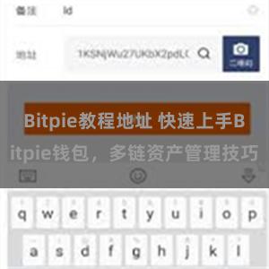 Bitpie教程地址 快速上手Bitpie钱包，多链资产管理技巧