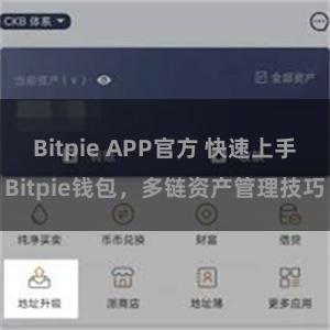 Bitpie APP官方 快速上手Bitpie钱包，多链资产管理技巧