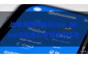 比特派数字钱包App  Bitpie钱包复旧多链金钱惩处
