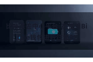 比特派去中心平台  在使用Bitpie钱包进行往复时